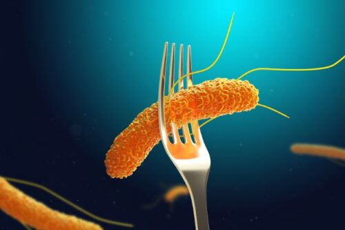 Ervaringsbericht Salmonella
