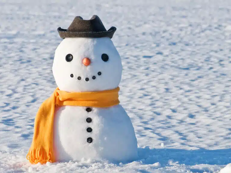 Ervaringsbericht sneeuwman