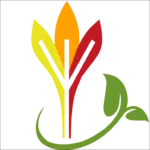 logo academie krokus met blad
