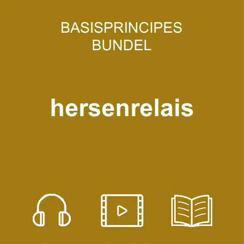 hersenrelais bundel nl