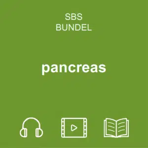 pancreas bundel