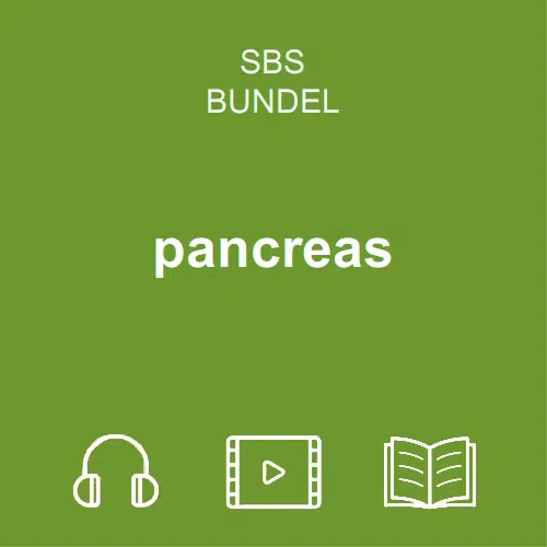 pancreas bundel