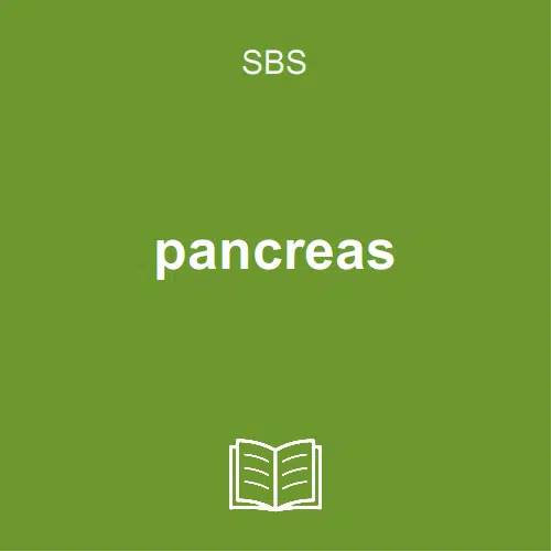 pancreas ebook nl