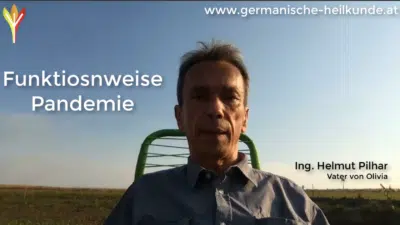 Hoe werkt een pandemie? Hoe werkt een pandemie?