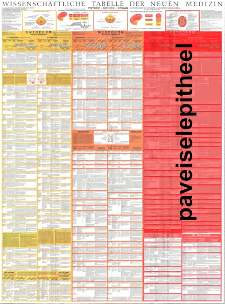 grafik tabelle plattenepithel nl