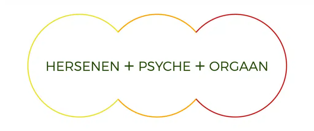 psyche-hersenen-orgaan